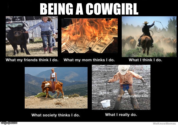 What I really do | BEING A COWGIRL | image tagged in what i really do | made w/ Imgflip meme maker