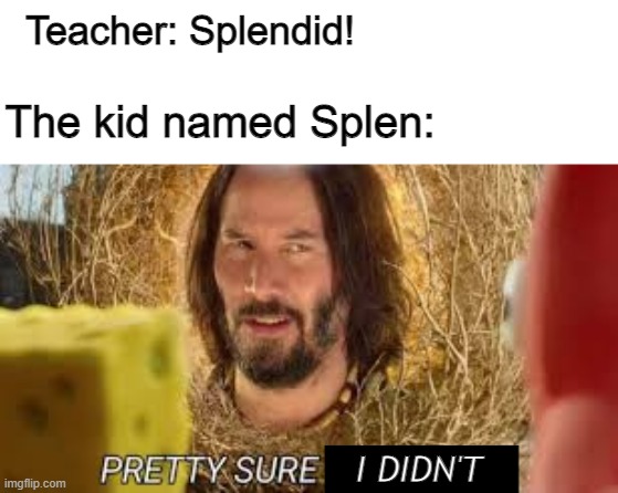 why do i have to put something here | Teacher: Splendid! The kid named Splen:; I; I DIDN'T | image tagged in pretty sure it doesn't | made w/ Imgflip meme maker