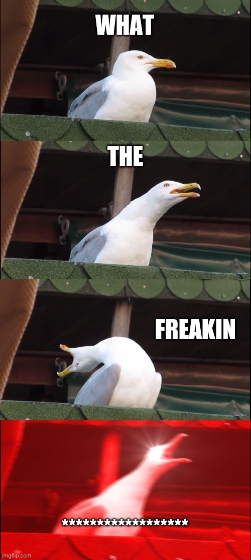 Inhaling Seagull | WHAT; THE; FREAKIN; ****************** | image tagged in memes,inhaling seagull | made w/ Imgflip meme maker