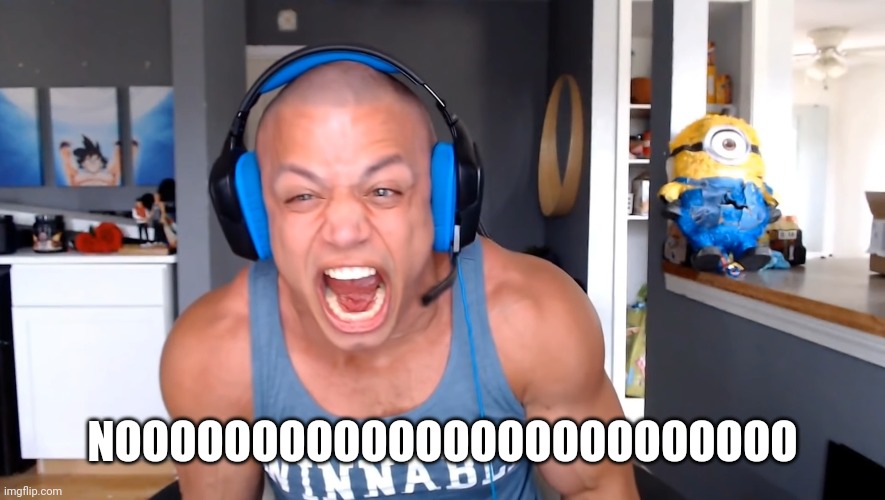 Tyler1 screams louder as he can | NOOOOOOOOOOOOOOOOOOOOOOOOO | image tagged in tyler1 screams louder as he can | made w/ Imgflip meme maker