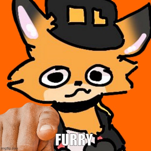 fundy the furry jojo calls you a furry | FURRY | image tagged in fundy,furry | made w/ Imgflip meme maker