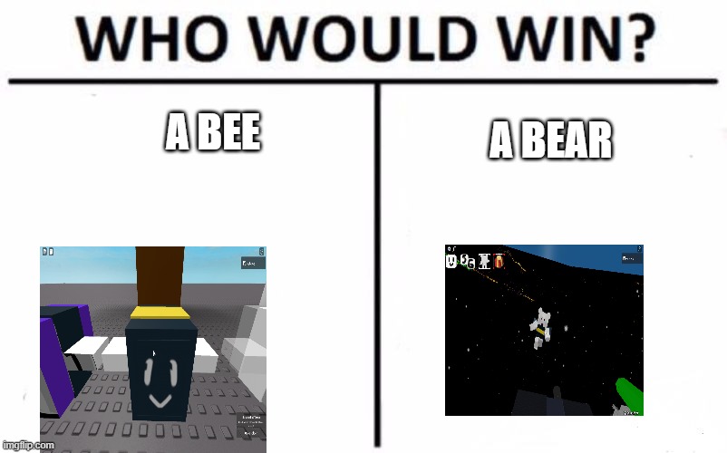 Fight\ |  A BEE; A BEAR | image tagged in memes,who would win | made w/ Imgflip meme maker