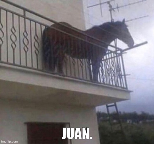 Juan | JUAN. | image tagged in juan | made w/ Imgflip meme maker