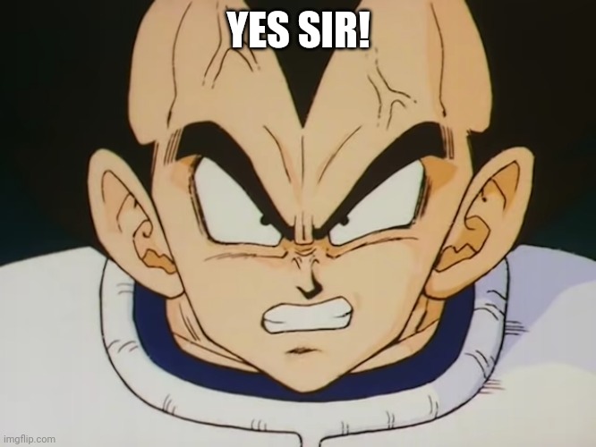 Angry Vegeta (DBZ) | YES SIR! | image tagged in angry vegeta dbz | made w/ Imgflip meme maker