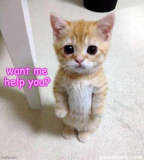 Cute kitty come to assist! | want me help you? | image tagged in memes,cute cat,help,wholesome,yes,cats | made w/ Imgflip meme maker