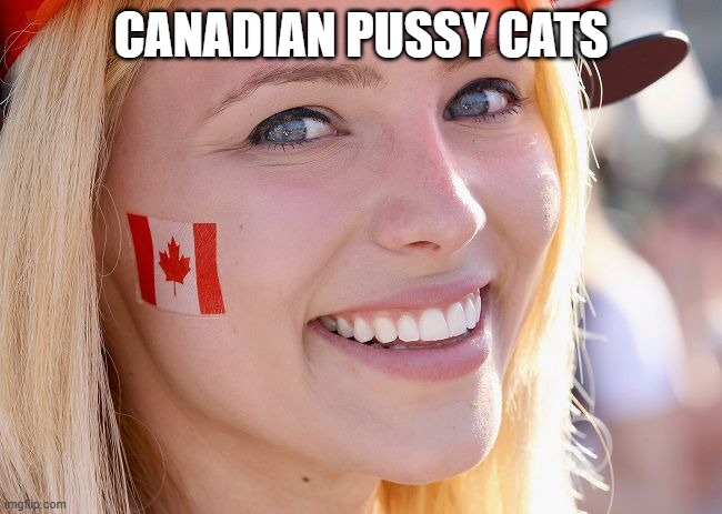 Canadian Lady | CANADIAN PUSSY CATS | image tagged in canadian lady | made w/ Imgflip meme maker