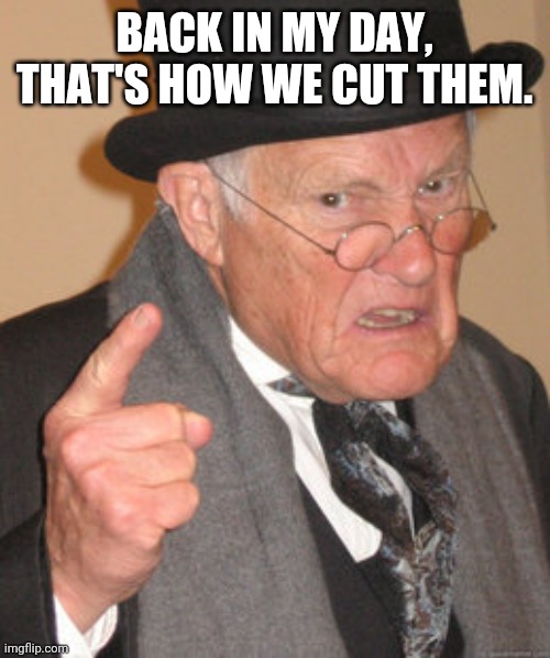 Back In My Day Meme | BACK IN MY DAY, THAT'S HOW WE CUT THEM. | image tagged in memes,back in my day | made w/ Imgflip meme maker