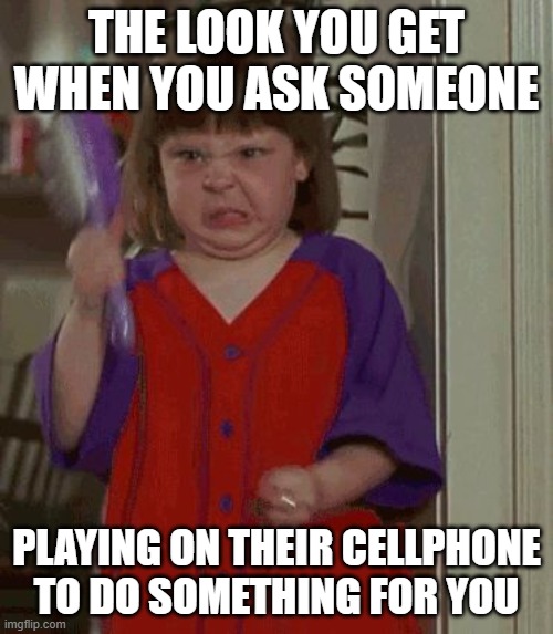 cellphone look | THE LOOK YOU GET WHEN YOU ASK SOMEONE; PLAYING ON THEIR CELLPHONE TO DO SOMETHING FOR YOU | image tagged in cellphone,funny memes | made w/ Imgflip meme maker