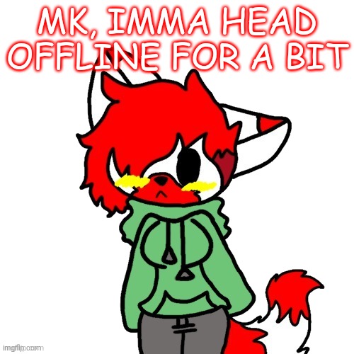 Bai :D | MK, IMMA HEAD OFFLINE FOR A BIT | image tagged in litttt | made w/ Imgflip meme maker