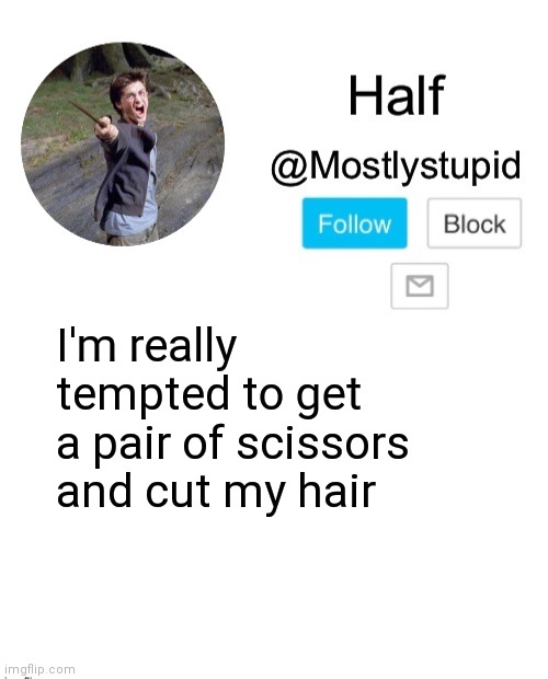 My mom would kill me tho | I'm really tempted to get a pair of scissors and cut my hair | image tagged in mostlystupid template | made w/ Imgflip meme maker