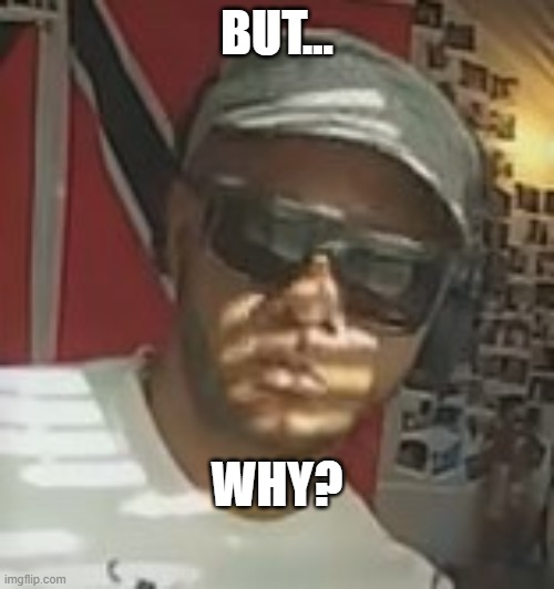 But Why? | BUT... WHY? | image tagged in speechless with shades | made w/ Imgflip meme maker