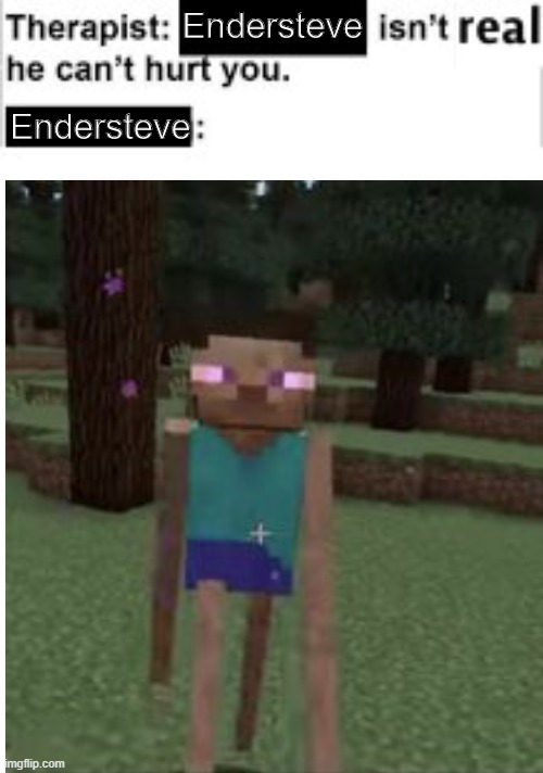 Sorry If I had not been posting for a while | Endersteve; Endersteve | image tagged in memes,minecraft | made w/ Imgflip meme maker