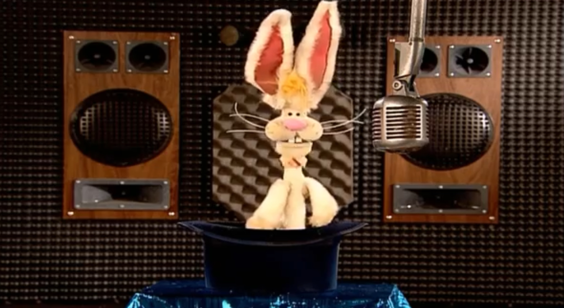 High Quality Announcer Bunny Blank Meme Template