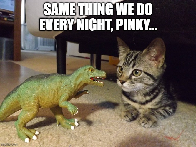 Conspirators | SAME THING WE DO EVERY NIGHT, PINKY... | image tagged in conspirators | made w/ Imgflip meme maker