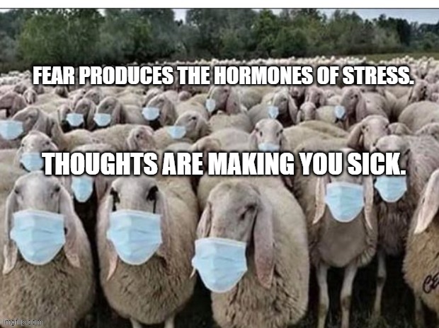 Sign of the Sheeple | FEAR PRODUCES THE HORMONES OF STRESS. THOUGHTS ARE MAKING YOU SICK. | image tagged in sign of the sheeple | made w/ Imgflip meme maker