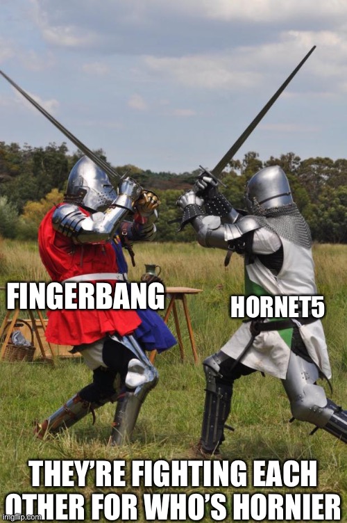 knights fighting | FINGERBANG; HORNET5; THEY’RE FIGHTING EACH OTHER FOR WHO’S HORNIER | image tagged in knights fighting,horny | made w/ Imgflip meme maker