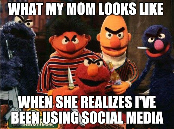 Mad Muppets | WHAT MY MOM LOOKS LIKE; WHEN SHE REALIZES I'VE BEEN USING SOCIAL MEDIA | image tagged in muppets | made w/ Imgflip meme maker