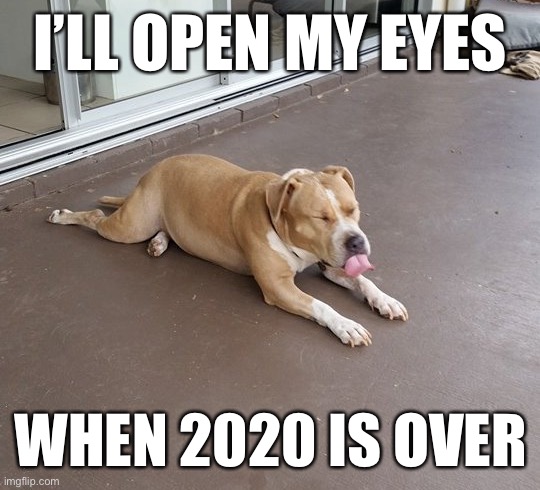 Here’s what I think of that |  I’LL OPEN MY EYES; WHEN 2020 IS OVER | image tagged in here s what i think of that | made w/ Imgflip meme maker