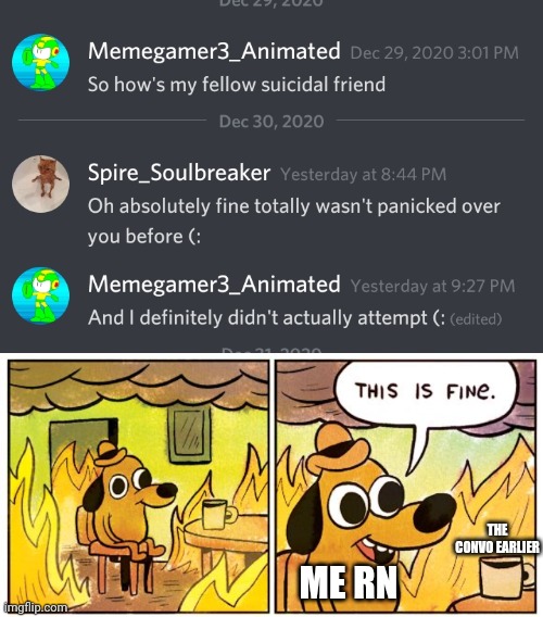 Yes guys he did actually try. This is the only reason I'm showing this. | THE CONVO EARLIER; ME RN | image tagged in this is fine,oh wow are you actually reading these tags,why are you reading this,stop reading the tags | made w/ Imgflip meme maker