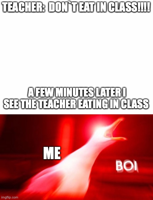 why I hate class | TEACHER:  DON`T EAT IN CLASS!!!! A FEW MINUTES LATER I SEE THE TEACHER EATING IN CLASS; ME | image tagged in blank white template,bird inhailing nibba,class logic | made w/ Imgflip meme maker