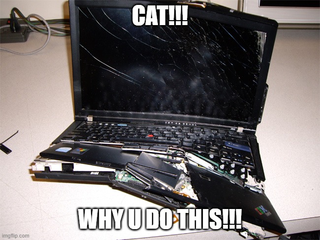 Broken Computer | CAT!!! WHY U DO THIS!!! | image tagged in broken computer | made w/ Imgflip meme maker