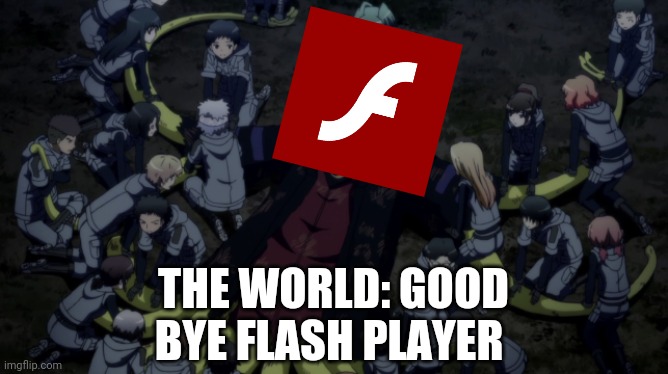 Good bye flash | THE WORLD: GOOD BYE FLASH PLAYER | image tagged in memes | made w/ Imgflip meme maker