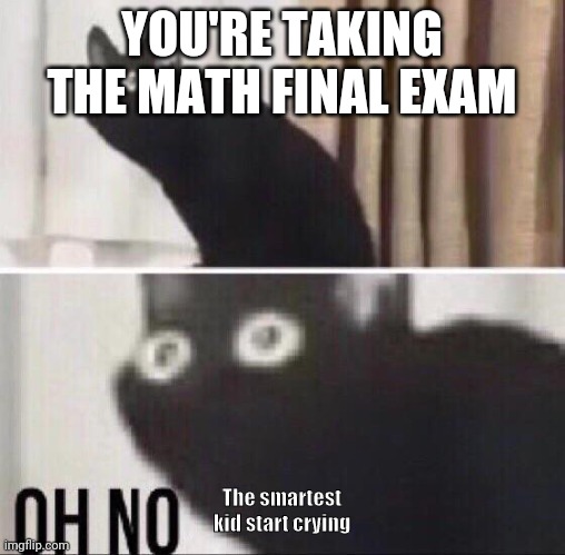 Oh no cat | YOU'RE TAKING THE MATH FINAL EXAM; The smartest kid start crying | image tagged in oh no cat | made w/ Imgflip meme maker