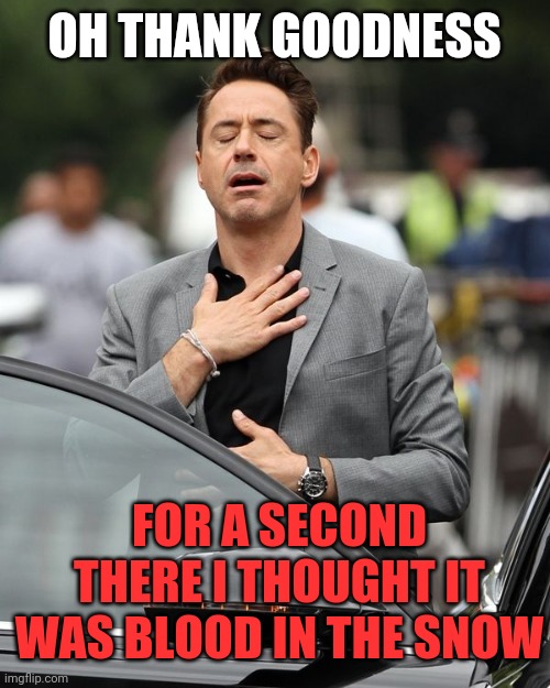 Robert Downey Jr | OH THANK GOODNESS FOR A SECOND THERE I THOUGHT IT WAS BLOOD IN THE SNOW | image tagged in robert downey jr | made w/ Imgflip meme maker