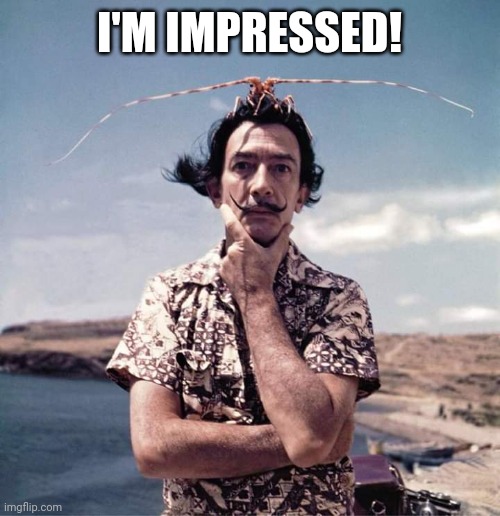 Salvador Dali | I'M IMPRESSED! | image tagged in salvador dali | made w/ Imgflip meme maker