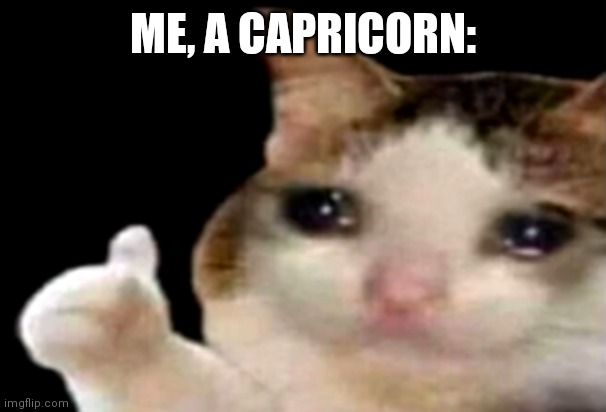 Sad cat thumbs up | ME, A CAPRICORN: | image tagged in sad cat thumbs up | made w/ Imgflip meme maker