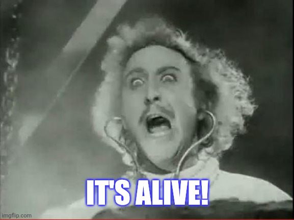 Young Frankenstein | IT'S ALIVE! | image tagged in young frankenstein | made w/ Imgflip meme maker