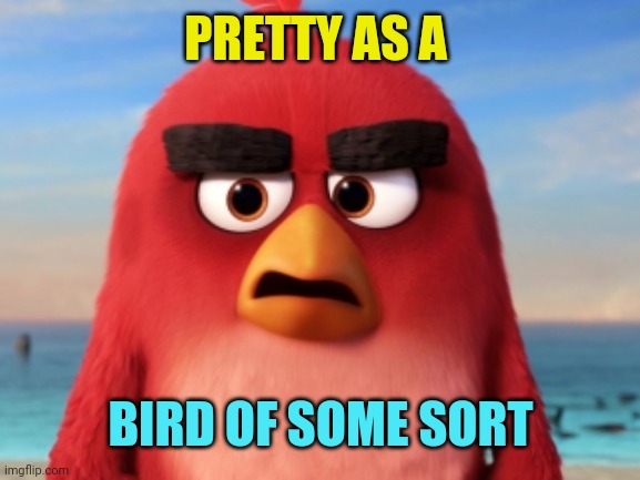 Angry Birds | PRETTY AS A BIRD OF SOME SORT | image tagged in angry birds | made w/ Imgflip meme maker