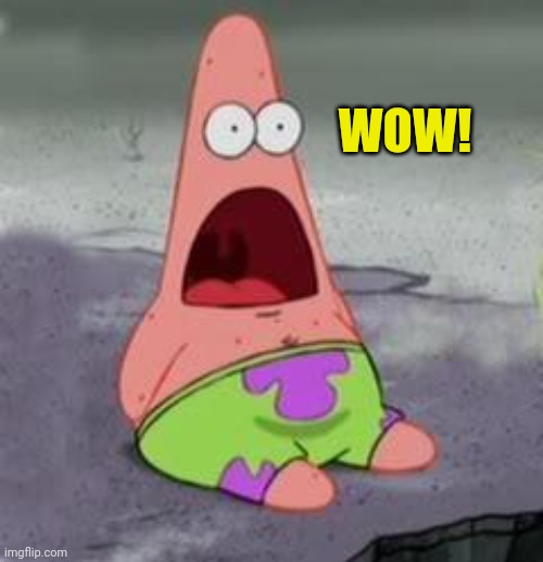 Suprised Patrick | WOW! | image tagged in suprised patrick | made w/ Imgflip meme maker
