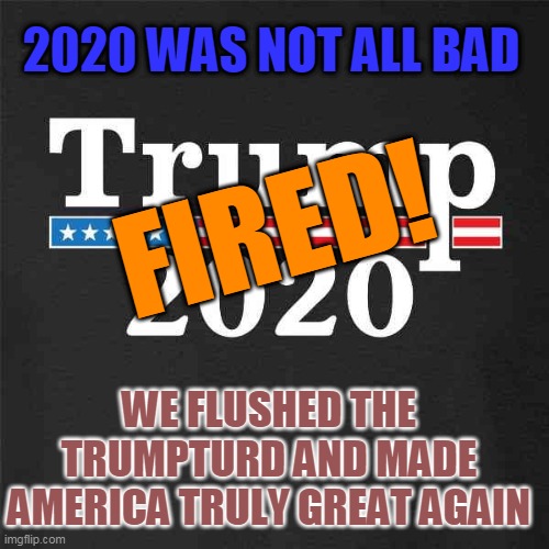 2020 was not all bad, we fired the trumpturd! | 2020 WAS NOT ALL BAD; FIRED! WE FLUSHED THE TRUMPTURD AND MADE AMERICA TRULY GREAT AGAIN | image tagged in trump 2020 | made w/ Imgflip meme maker