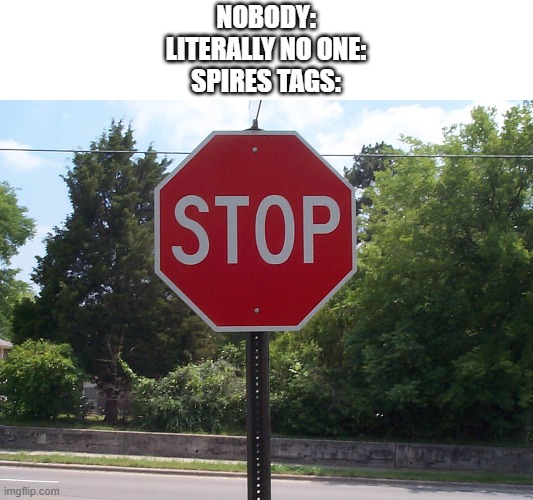 Stop sign | NOBODY:
LITERALLY NO ONE:
SPIRES TAGS: | image tagged in stop sign | made w/ Imgflip meme maker