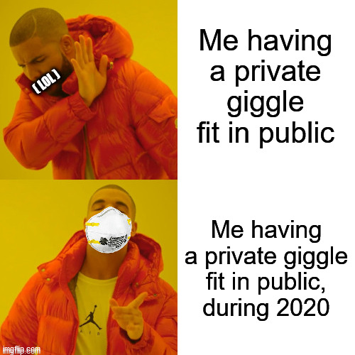 It's good to laugh except for when it's not | Me having a private giggle fit in public; ( LOL ); Me having a private giggle
 fit in public, 
during 2020 | image tagged in memes,drake hotline bling,face mask,2020 sucks,coronavirus,2020 | made w/ Imgflip meme maker