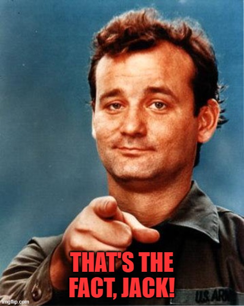 Bill Murray  | THAT'S THE FACT, JACK! | image tagged in bill murray | made w/ Imgflip meme maker