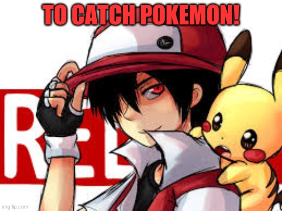 Red smiles | TO CATCH POKEMON! | image tagged in red smiles | made w/ Imgflip meme maker