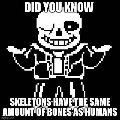 sans is saying something here | DID YOU KNOW; SKELETONS HAVE THE SAME AMOUNT OF BONES AS HUMANS | image tagged in memes,funny,skeleton,bones,sans,undertale | made w/ Imgflip meme maker