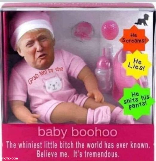 Baby Boohoo | image tagged in trump,crybaby,loser,republican,whiner | made w/ Imgflip meme maker