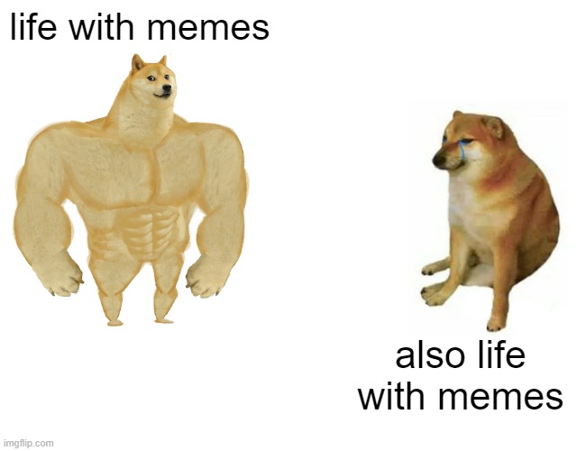 life with memes | life with memes; also life with memes | image tagged in memes,buff doge vs cheems | made w/ Imgflip meme maker