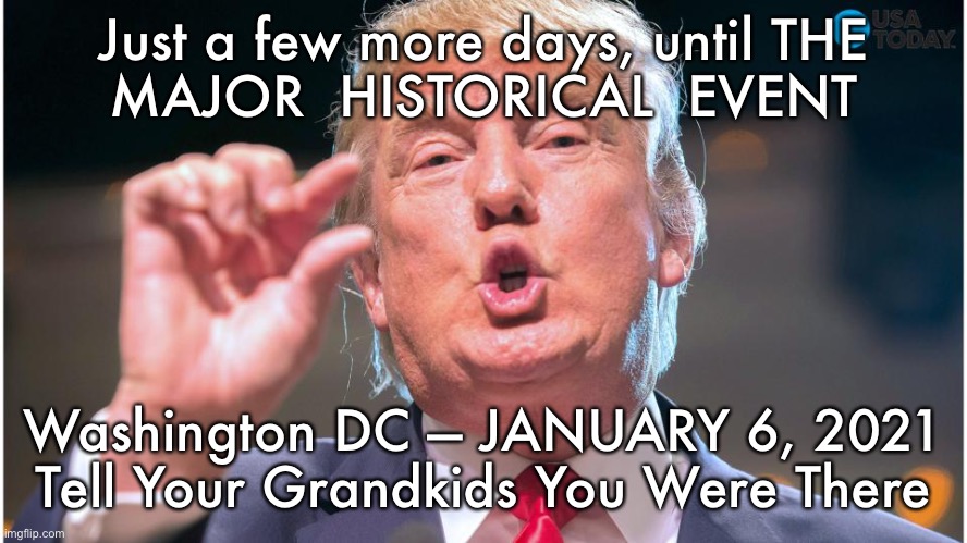 Donald Trump small brain | Just a few more days, until THE
MAJOR  HISTORICAL  EVENT; Washington DC — JANUARY 6, 2021
Tell Your Grandkids You Were There | image tagged in donald trump small brain | made w/ Imgflip meme maker