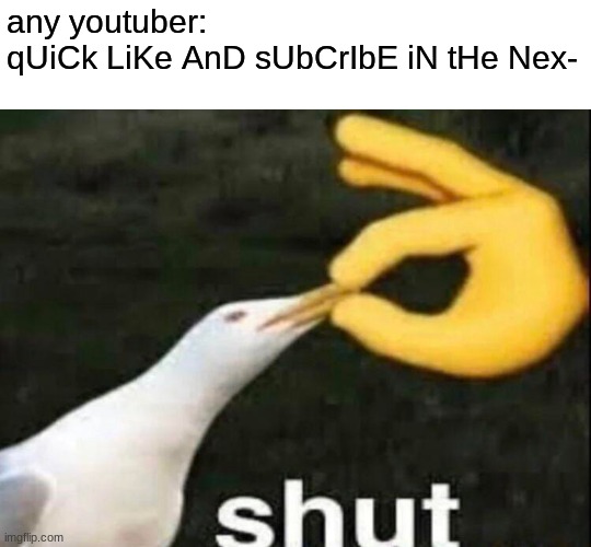 qUiCk UpVoTe AnD cOmMeNt In tHe NeXt 5 sEcOnDs Or 2021 WiLl bE wOrSe ThAn 2020 | any youtuber: 
qUiCk LiKe AnD sUbCrIbE iN tHe Nex- | image tagged in shut | made w/ Imgflip meme maker