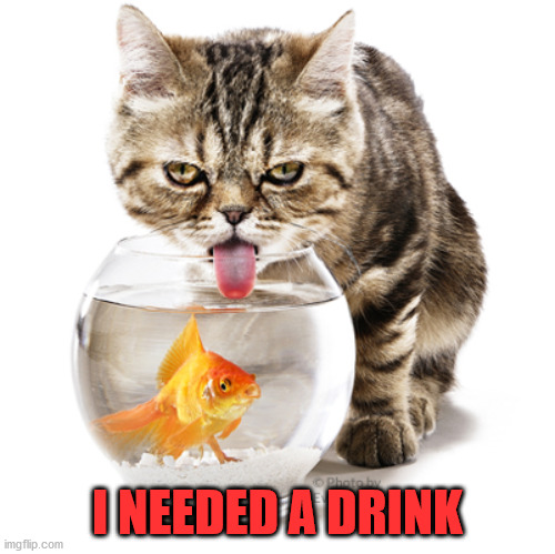 Cat drinking from fishbowl | I NEEDED A DRINK | image tagged in cat drinking from fishbowl | made w/ Imgflip meme maker