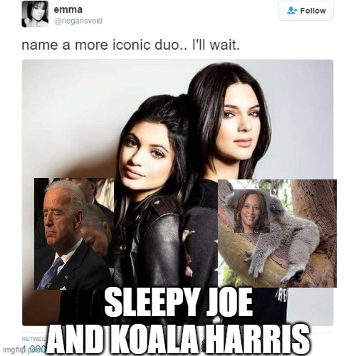 Very Iconic duo | SLEEPY JOE AND KOALA HARRIS | image tagged in name a more iconic duo | made w/ Imgflip meme maker