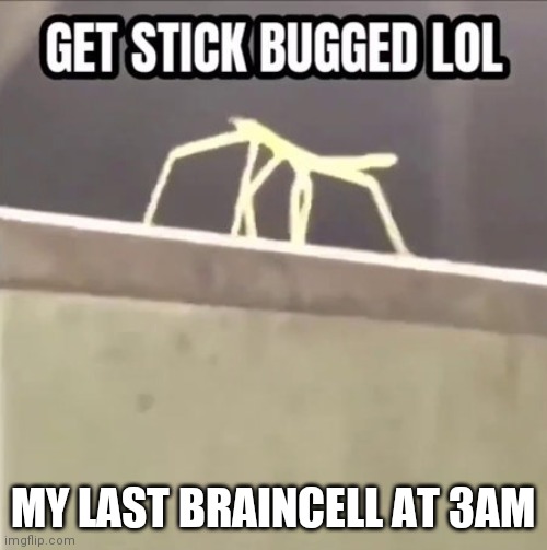 Get stick bugged lol | MY LAST BRAINCELL AT 3AM | image tagged in get stick bugged lol | made w/ Imgflip meme maker