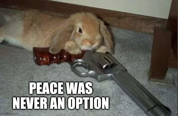 CUTE AND DEADLY | PEACE WAS NEVER AN OPTION | image tagged in bunny,rabbit,gun | made w/ Imgflip meme maker