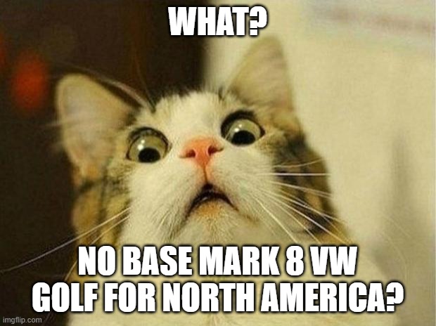 Scared Cat Mark 8 VW Golf | WHAT? NO BASE MARK 8 VW GOLF FOR NORTH AMERICA? | image tagged in memes,scared cat,bring the base mark 8 golf to north america,vw golf,golf 8 | made w/ Imgflip meme maker