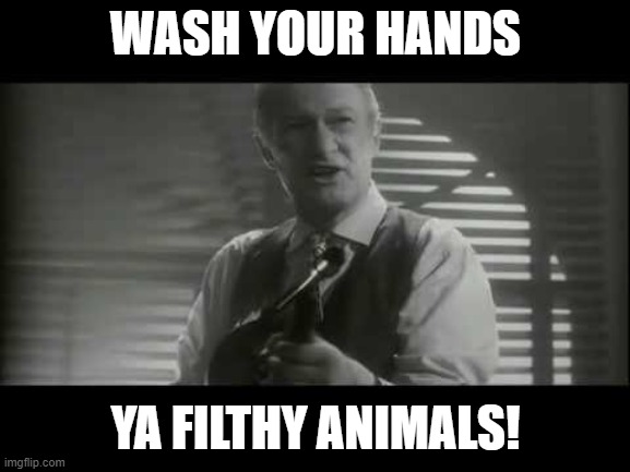 ya filthy animal! | WASH YOUR HANDS; YA FILTHY ANIMALS! | image tagged in ya filthy animal | made w/ Imgflip meme maker