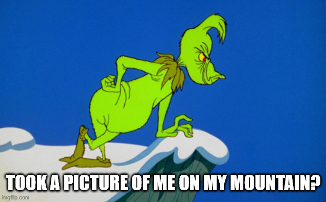 Grinch  | TOOK A PICTURE OF ME ON MY MOUNTAIN? | image tagged in grinch | made w/ Imgflip meme maker